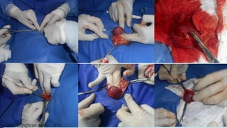 Imagen aportada por Amaya ., 2015.
 