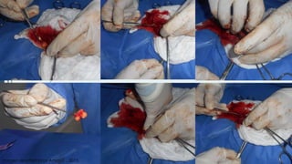 Imagen aportada por Amaya ., 2015.
 