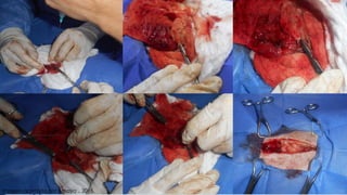 Imagen aportada por Amaya ., 2015.
 