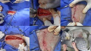 Imagen aportada por Amaya ., 2015.
 