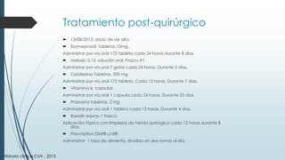 Tratamiento post-quirúrgico
 13/08/2015: dado de de alta.
 Esomeprazol Tabletas.10mg.
Administrar por via oral 172 tableta cada 24 horas durante 8 días.
 Meloxic 0,15. solución oral. Frasco #1.
Administrar por vía oral 7 gotas cada 24 horas. Durante 5 días.
 Cefalexina Tabletas. 500 mg
Administrar por vía oral 172 tableta. Cada 12 horas. Durante 7 días.
 Vitamina e. capsulas.
Administrar por vía oral 1 capsula cada 24 horas. Durante 20 días.
 Prazosina tabletas. 2 mg
Administrar por vía oral 1 tableta cada 12 horas. Durante 4 días.
 Baxidin espray 1 frasco.
Aplicación tópica con limpiezas de herida quirúrgica cada 12 horas durante 8
días.
 Prescription Diet® u/d®.
Administrar 1 taza de alimento, dividido en dos tomas al día.
Historia clínica CUV., 2015
 
