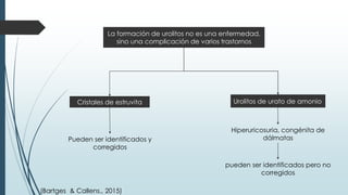 La formación de urolitos no es una enfermedad,
sino una complicación de varios trastornos
Cristales de estruvita
Pueden ser identificados y
corregidos
Urolitos de urato de amonio
Hiperuricosuria, congénita de
dálmatas
pueden ser identificados pero no
corregidos
(Bartges & Callens., 2015)
 