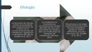 Etiología
La formación de cálculos
urinarios es la resultante
de la supersaturación de
la orina con el
consecuente proceso de
cristalización, agregación
y crecimiento del cálculo.
(Guillén et al., 2011)
La cristalización es
favorecida por
concentraciones urinarias
elevadas de uno o más
precursores de cristales o
bien con niveles bajos de
inhibidores de
cristalización. (Baciero.,
2010)
Este proceso es de origen
multifactorial involucrando
factores metabólicos,
genéticos, hábitos
alimenticios, procesos
infecciosos, etc. (Guillén
et al., 2011)
 