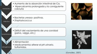 Metabólico
• Aumento de la absorción intestinal de Ca.
• Hipercalcemia prolongada y la consiguiente
calciuria
Infectiva
• Bacterias ureasa- positivas.
• Staphylococcus
Urodinámicas
• Déficit del vaciamiento de una cavidad
(pelvis, vejiga, etc.)
Iatrogénicas
• Alimentación
• Medicamentos alterar el pH urinario.
Sulfamidas.
(González., 2007)
 