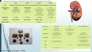 Factores que ayudan a predecir la composición de los urolitos en el perro
(Stevenson & Rutgers., 2006)
 