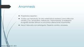 Anamnesis
 Propietarios reportan:
 10 días con hematuria. En otra veterinaria lo trataron como infección
urinaria. (T.to: amoxicilina, meloxicam, metronidazol). Le realizaron
ecografía donde afirman no encontrar alteraciones importantes.
 Hace 2 días esta con estranguria. Presento vomito y anorexia.
Historia clínica CUV., 2015
 