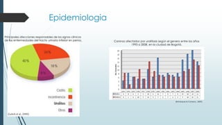 Epidemiologia
Principales afecciones responsables de los signos clínicos
de las enfermedades del tracto urinario inferior en perros.
(Lulich et al., 2000)
Caninos afectados por urolitiasis según el genero entre los años
1993 a 2008, en la ciudad de Bogotá.
(Bohórquez & Campos., 2009)
 