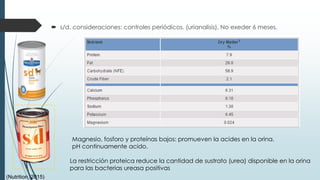  s/d. consideraciones: controles periódicos. (urianalisis). No exeder 6 meses.
Magnesio, fosforo y proteínas bajos: promueven la acides en la orina.
pH continuamente acido.
La restricción proteica reduce la cantidad de sustrato (urea) disponible en la orina
para las bacterias ureasa positivas
(Nutrition, 2015)
 