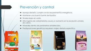 Prevención y control
 Manejo dietario, cumplir con los requerimientos energéticos.
 Mantener una buena fuente de líquidos.
 Niveles bajos en sodio.
 Alta ingesta de carbohidratos causa un aumento en la excreción urinaria
de calcio.
 Minerales dentro de parámetros establecidos.
 Predisposiciones genéticas requieren majeo dietario especifico.
 