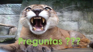 Preguntas ???
 
