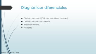Diagnósticos diferenciales
 Obstrucción uretral (Cálculos vesicales o uretrales).
 Obstrucción por tumor vesical.
 Infección urinaria.
 Prostatitis
Historia clínica CUV., 2015
 