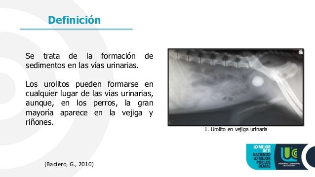 definicion de urolitiasis