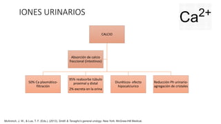 IONES URINARIOS
CALCIO
50% Ca plasmático-
filtración
95% reabsorbe túbulo
proximal y distal
2% excreta en la orina
Diuréticos- efecto
hipocalciurico
Reducción Ph urinario-
agregación de cristales
Absorción de calcio
fraccional (intestinos)
McAninch, J. W., & Lue, T. F. (Eds.). (2013). Smith & Tanagho's general urology. New York: McGraw-Hill Medical.
 