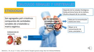 Son agregados poli cristalinos
compuestos de cantidades
variables de cristaloides y
matriz orgánica.
FORMACION DE
CALCULOS
ORINA
SUPERSATURADA
 PH URINARIO
 FUERZA IONICA
 CONCENTRACION
DE SOLUTOS
 COMPLEJIDAD
Depende de los estados fisiológicos:
Acida primeras horas de la mañana.
Alcalina después de las comidas
Dada por la concentración
relativa de iones.
Mayor es la
concentración de
iones, precipitan +
McAninch, J. W., & Lue, T. F. (Eds.). (2013). Smith & Tanagho's general urology. New York: McGraw-Hill Medical.
 