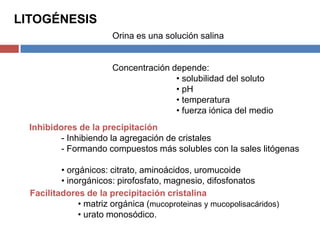 LITOGÉNESIS
Orina es una solución salina

Concentración depende:
• solubilidad del soluto
• pH
• temperatura
• fuerza iónica del medio
Inhibidores de la precipitación
- Inhibiendo la agregación de cristales
- Formando compuestos más solubles con la sales litógenas
• orgánicos: citrato, aminoácidos, uromucoide
• inorgánicos: pirofosfato, magnesio, difosfonatos
Facilitadores de la precipitación cristalina
• matriz orgánica (mucoproteinas y mucopolisacáridos)
• urato monosódico.

 