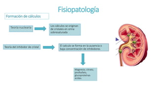 Fisiopatología
Teoría nuclearia
Los cálculos se originan
de cristales en orina
sobresaturada
Teoría del inhibidor de cristal
Magnesio, citrato,
pirofosfato,
glucoproteínas
acidas.
El calculo se forma en la ausencia o
baja concentración de inhibidores
Formación de cálculos
 