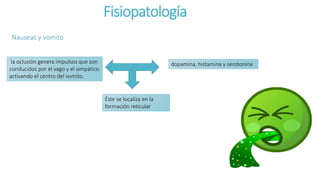 Fisiopatología
Nauseas y vomito
la oclusión genera impulsos que son
conducidos por el vago y el simpático
activando el centro del vomito.
dopamina, histamina y serotonina
Éste se localiza en la
formación reticular
 