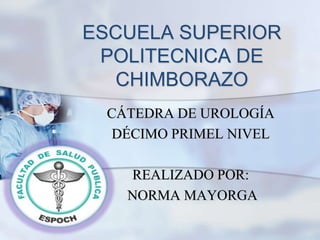 ESCUELA SUPERIOR
POLITECNICA DE
CHIMBORAZO
CÁTEDRA DE UROLOGÍA
DÉCIMO PRIMEL NIVEL
REALIZADO POR:
NORMA MAYORGA
 