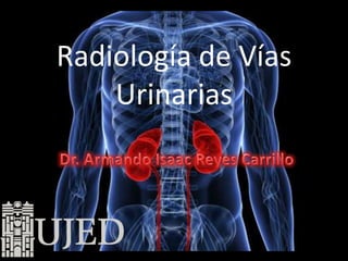 Radiología de Vías
    Urinarias
 