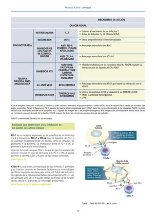 Manual AMIR · Urología
72
Fármacos que intervienen en la inhibición de
los puntos de control inmune
PD-1 es un receptor expresado en la superficie de los linfocitos
T y B y monocitos. PD-L1 y PD-L2 son los ligandos de PD-1 y
se expresan fisiológicamente en tejidos como el corazón, los
pulmones o la placenta. La interacción entre el PD-1 y PD-L1
permite la tolerancia inmunológica.
Algunos tumores expresan PD-L1, lo que les permite escapar del
sistema inmune. El uso de fármacos anti PD-1 o PD-L1 puede
permitir la identificación y muerte de las células tumorales.
(Ver figura 1)
CTLA-4 es una molécula expresada en los linfocitos T activados
y su función también es favorecer la tolerancia inmunológica
periférica mediante la interacción entre el CTLA-4 del linfocito y
los ligando de la célula presentadora de antígenos (APC). El uso
de fármacos anti CLTA-4 puede liberar los frenos de la función
de las células T, activando la inmunidad antitumoral.
(Ver figura 2 en la página siguiente)
Figura 1. Papel del PD-1/PD-L1 en el cáncer.
PD-L1 se une con PD-1 e
impide que la célula T
destruya la célula tumoral
El bloqueo de
PD-L1 o PD-1
permite que la
célula T destruya
la célula tumoral
Célula
tumoral
Célula T
Receptor
de células T
PD-L1
PD-1
Antígeno
PD-L1
Célula T
Muerte de la
célula tumoral
PD-1
Anti PD-1
Anti PD-L1
CTLA-4: antígeno 4 asociado a linfocitos T citotóxico; GnRH: hormona liberadora de gonadotropinas = LHRH; mTOR: diana de rapamicina en células de mamífero (del
inglés, mammalian Target of Rapamycin); PD-1: receptor de muerte celular programada tipo 1; PDGF: factor de crecimiento derivado de las plaquetas; PDGFR: receptor
del factor de crecimiento derivado de las plaquetas; PDL-1: ligando del receptor PD-1; RA: receptor androgénico; RTK: receptor con actividad tirosin-kinasa; VEGF: factor
de crecimiento vascular derivado del endotelio; VEGFR: receptor del factor de crecimiento vascular derivado del endotelio.
Tabla 1 (continuación). Fármacos en uro-oncología.
MECANISMO DE ACCIÓN
CÁNCER RENAL
INMUNOTERAPIA
INTERLEUQUINA IL-2
• Estimula el crecimiento de los linfocitos T.
• Activa los linfocitos T y NK (Natural Killer).
INTERFERÓN INFα • Efecto antiproliferativo e inmunomodulador.
INHIBIDOR DE
LOS PUNTOS
DE CONTROL
INMUNE
ANTI PD-1:
PEMBROLIZUMAB
NIVOLUMAB
• Anticuerpo monoclonal anti PD-1.
ANTI CTLA-4:
IPILIMUMAB
• Anticuerpo monoclonal anti CTLA-4.
TERAPIA
DIRIGIDA ANTI-
ANGIOGÉNICA
INHIBIDOR RTK
SUNITINIB
PAZOPANIB
CABOZANTINIB
AXITINIB
LENVATINIB
TIVOZANIB
• Inhibidor multikinasa de los receptores VEGFR y PDGFR, impiden su
interacción con los ligandos VEGF y PDGF.
AC ANTI VEGF BEVACIZUMAB
• Anticuerpo monoclonal anti VEGF que impide su interacción con el
VEGFR.
INHIBIDOR mTOR
TEMSIROLIMUS
EVEROLIMUS
Se unen a las proteínas mTOR y bloquean la vía PI3K/AKT/mTOR
• Inhibe la actividad transcripcional.
• ↓ HIF.
 