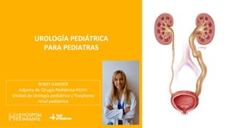 UROLOGÍA PEDIÁTRICA
PARA PEDIATRAS
ROMY GANDER
Adjunta de Cirugía Pediátrica HUVH
Unidad de Urología pediátrica y Trasplante
renal pediátrico
 