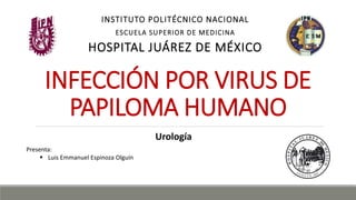 INFECCIÓN POR VIRUS DE
PAPILOMA HUMANO
INSTITUTO POLITÉCNICO NACIONAL
ESCUELA SUPERIOR DE MEDICINA
HOSPITAL JUÁREZ DE MÉXICO
Urología
Presenta:
 Luis Emmanuel Espinoza Olguín
 