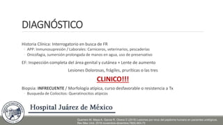 DIAGNÓSTICO
Historia Clínica: Interrogatorio en busca de FR
◦ APP: Inmunosupresión / Laborales: Carniceros, veterinarios, pescaderías
◦ Onicofagia, sumersión prolongada de manos en agua, uso de preservativo
EF: Inspección completa del área genital y cutánea + Lente de aumento
Lesiones Dolorosas, frágiles, pruríticas o las tres
CLINICO!!!
Biopsia: INFRECUENTE / Morfología atípica, curso desfavorable o resistencia a Tx
◦ Busqueda de Coilocitos: Queratinocitos atípicos
Guerrero M, Maya A, Garcia R, Olvera D (2018) Lesiones por virus del papiloma humano en pacientes urológicos.
Rev Mex Urol. 2018 noviembre-diciembre;78(6):463-73
 