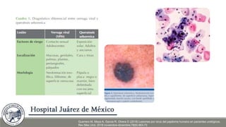 Guerrero M, Maya A, Garcia R, Olvera D (2018) Lesiones por virus del papiloma humano en pacientes urológicos.
Rev Mex Urol. 2018 noviembre-diciembre;78(6):463-73
 