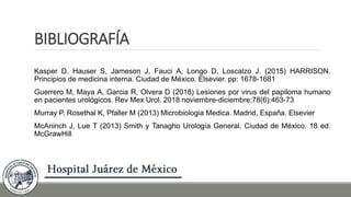 BIBLIOGRAFÍA
Kasper D. Hauser S, Jameson J, Fauci A, Longo D, Loscalzo J. (2015) HARRISON.
Principios de medicina interna. Ciudad de México. Elsevier. pp: 1678-1681
Guerrero M, Maya A, Garcia R, Olvera D (2018) Lesiones por virus del papiloma humano
en pacientes urológicos. Rev Mex Urol. 2018 noviembre-diciembre;78(6):463-73
Murray P, Rosethal K, Pfaller M (2013) Microbiologia Medica. Madrid, España. Elsevier
McAninch J, Lue T (2013) Smith y Tanagho Urología General. Ciudad de México. 18 ed.
McGrawHill
 