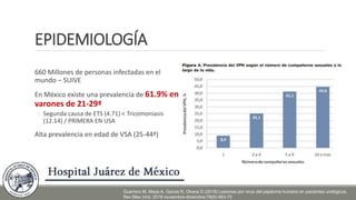 EPIDEMIOLOGÍA
660 Millones de personas infectadas en el
mundo – SUIVE
En México existe una prevalencia de 61.9% en
varones de 21-29ª
◦ Segunda causa de ETS (4.71) < Tricomoniasis
(12.14) / PRIMERA EN USA
Alta prevalencia en edad de VSA (25-44ª)
Guerrero M, Maya A, Garcia R, Olvera D (2018) Lesiones por virus del papiloma humano en pacientes urológicos.
Rev Mex Urol. 2018 noviembre-diciembre;78(6):463-73
 