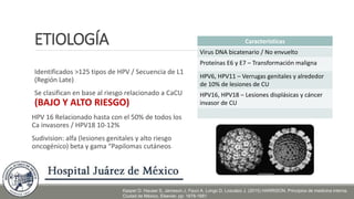 ETIOLOGÍA
Identificados >125 tipos de HPV / Secuencia de L1
(Región Late)
Se clasifican en base al riesgo relacionado a CaCU
(BAJO Y ALTO RIESGO)
HPV 16 Relacionado hasta con el 50% de todos los
Ca invasores / HPV18 10-12%
Sudivision: alfa (lesiones genitales y alto riesgo
oncogénico) beta y gama “Papilomas cutáneos
Características
Virus DNA bicatenario / No envuelto
Proteínas E6 y E7 – Transformación maligna
HPV6, HPV11 – Verrugas genitales y alrededor
de 10% de lesiones de CU
HPV16, HPV18 – Lesiones displásicas y cáncer
invasor de CU
Kasper D. Hauser S, Jameson J, Fauci A, Longo D, Loscalzo J. (2015) HARRISON. Principios de medicina interna.
Ciudad de México. Elsevier. pp: 1678-1681
 