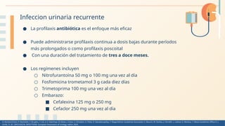 Urología litiasis renal cronica fisiopatologia | PPTX