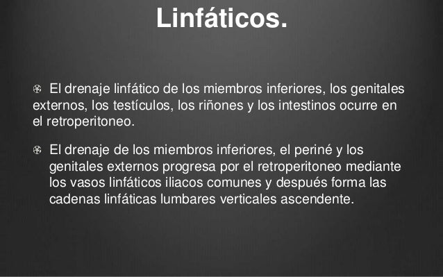 cadenas iliacas comunes urologia presentacion cadenas iliacas comunes urologia presentacion