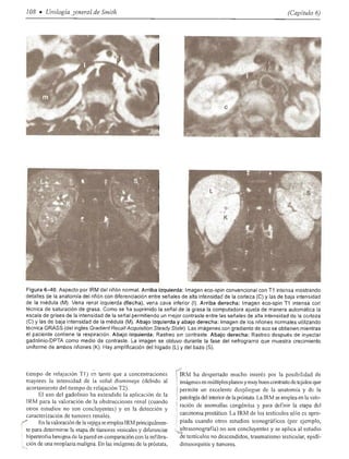 Urologia smith 11_ed