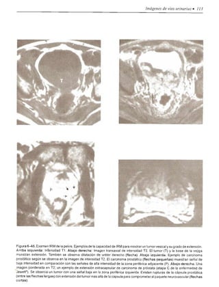 Urologia smith 11_ed