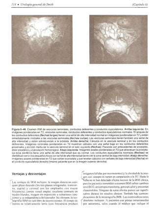 Urologia smith 11_ed