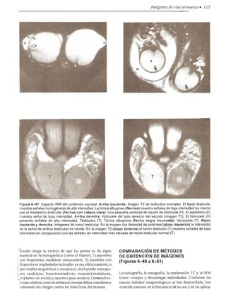 Urologia smith 11_ed