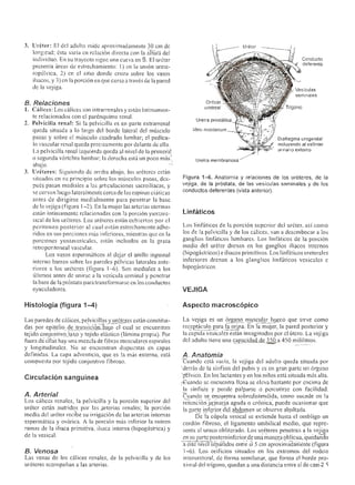 Urologia smith 11_ed