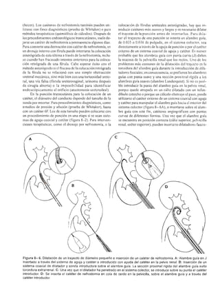 Urologia smith 11_ed