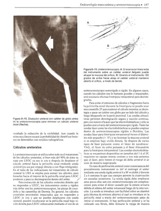 Urologia smith 11_ed