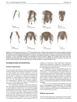 Urologia smith 11_ed