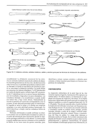 Urologia smith 11_ed