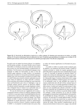 Urologia smith 11_ed
