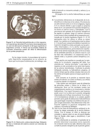 Urologia smith 11_ed