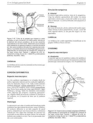 Urologia smith 11_ed