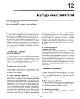 Urologia smith 11_ed