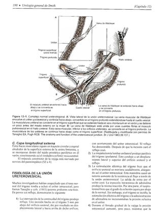 Urologia smith 11_ed