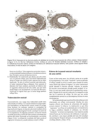 Urologia smith 11_ed