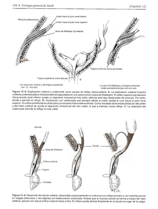Urologia smith 11_ed