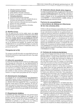 Urologia smith 11_ed